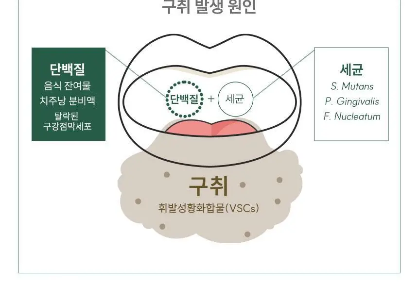 [대용량] 뷰센C 충치치약, 뷰센O 구취치약, 뷰센28 미백제 4개입 상세페이지 27